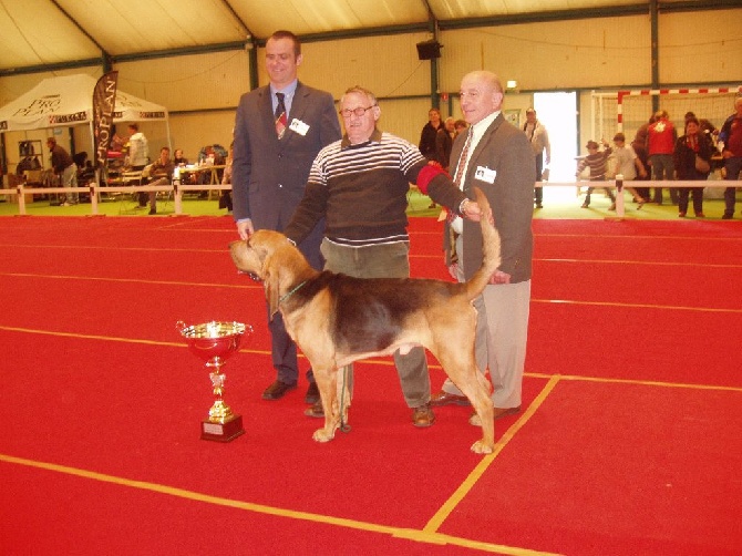 De la voix des ardennes - FIN D'ANNEE 2014