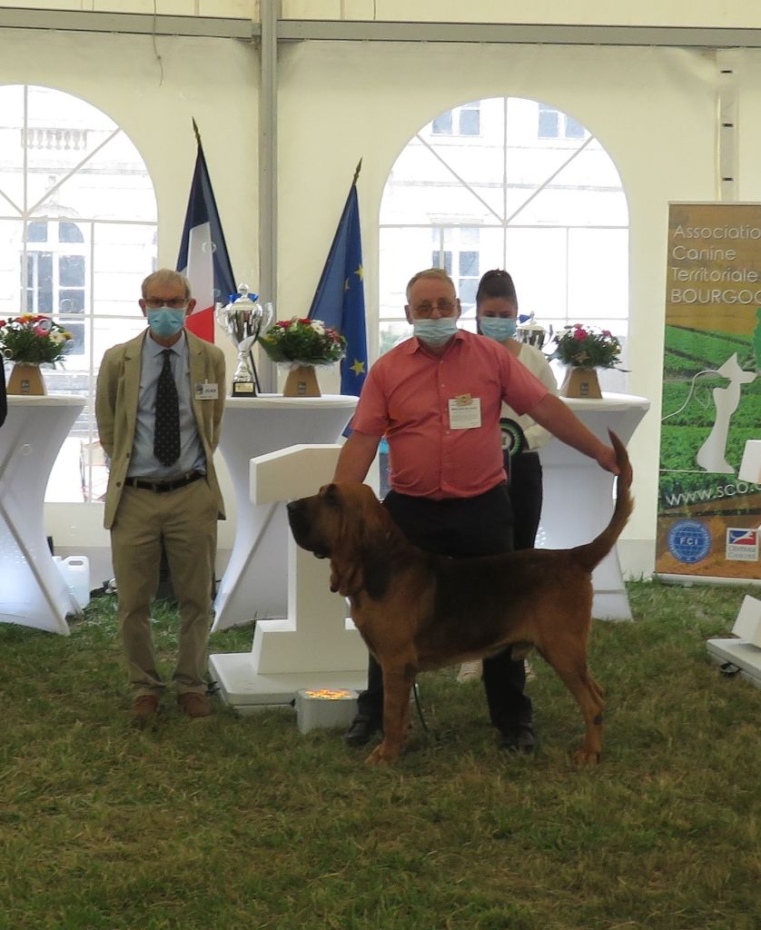 De la voix des ardennes - expositions de DIJON BROGNON