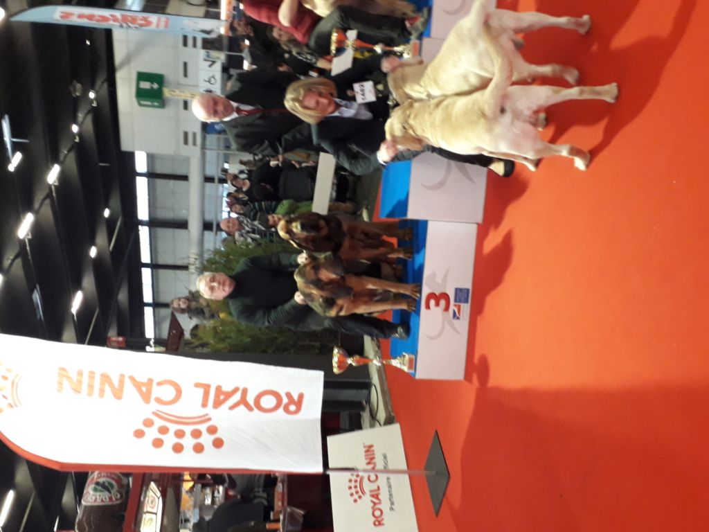 De la voix des ardennes - expo du paris dog show